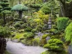 針葉樹の庭園利用